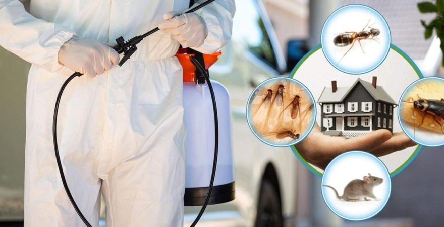 Pursaklar Böcek İlaçlama