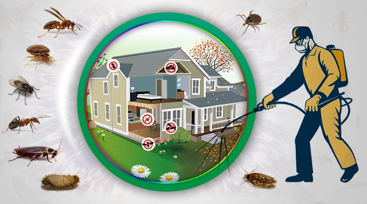 Pursaklar Böcek İlaçlama